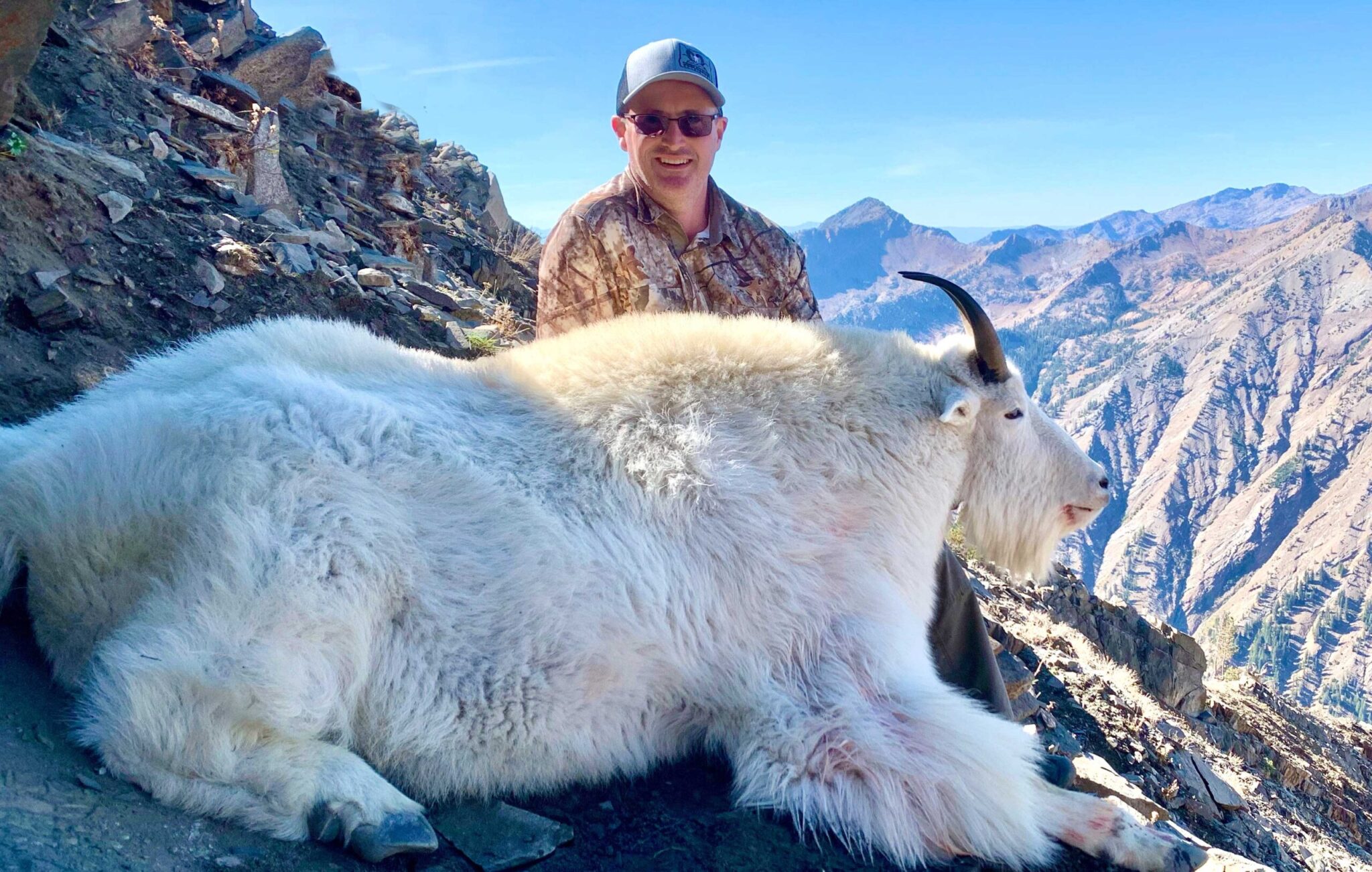 Goat-Main1 Goat-Main1