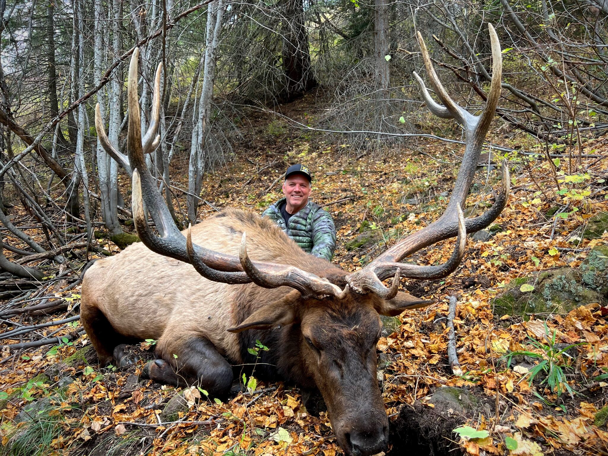 Elk